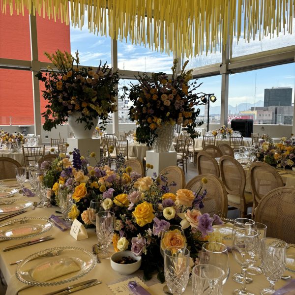 Boda Terraza Marketing Sept 28 2024